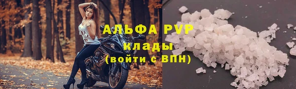 шишки Заводоуковск